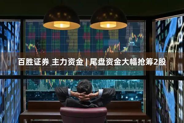 百胜证券 主力资金 | 尾盘资金大幅抢筹2股