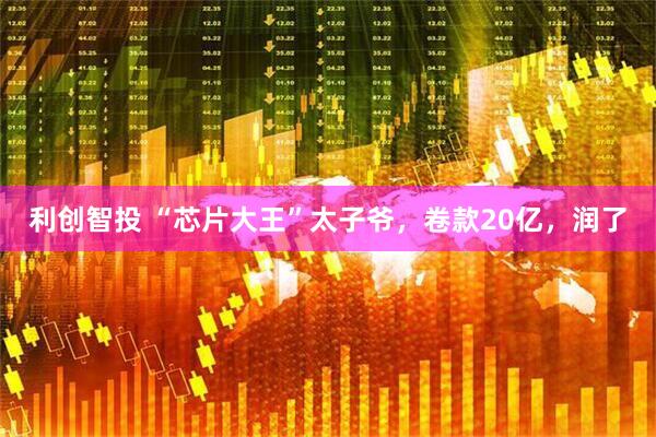 利创智投 “芯片大王”太子爷，卷款20亿，润了