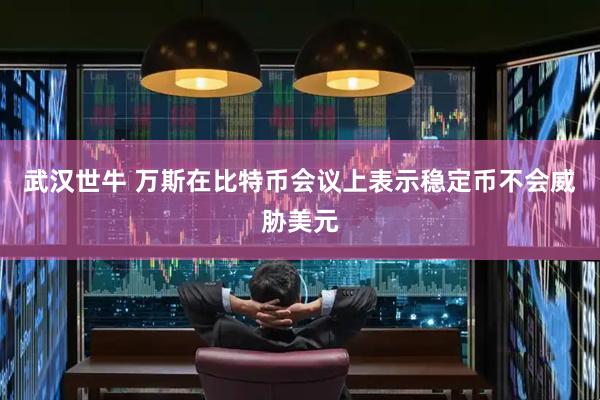 武汉世牛 万斯在比特币会议上表示稳定币不会威胁美元