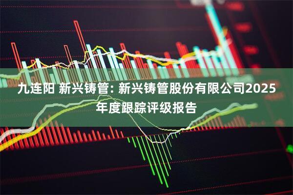 九连阳 新兴铸管: 新兴铸管股份有限公司2025年度跟踪评级报告