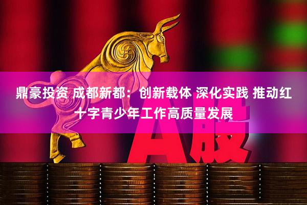 鼎豪投资 成都新都：创新载体 深化实践 推动红十字青少年工作高质量发展