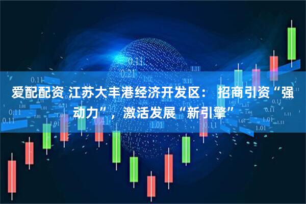 爱配配资 江苏大丰港经济开发区： 招商引资“强动力”，激活发展“新引擎”