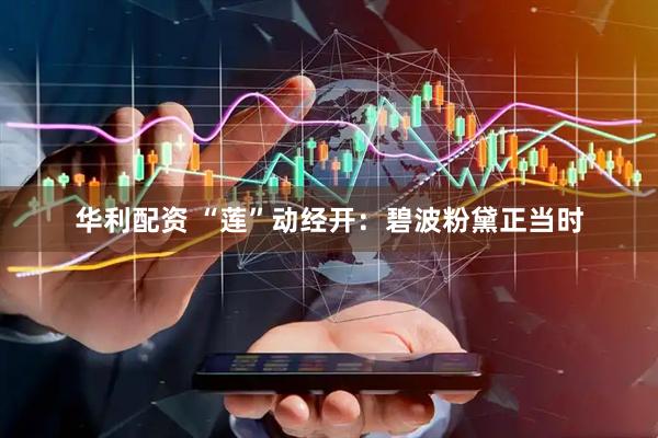 华利配资 “莲”动经开：碧波粉黛正当时