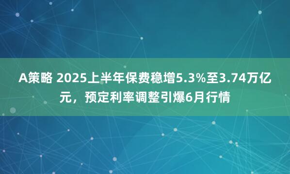A策略 2025上半年保费稳增5.3%至3.74万亿元，预定利率调整引爆6月行情