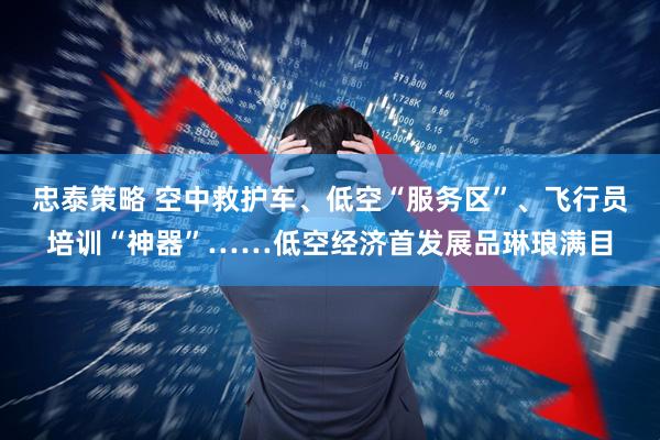 忠泰策略 空中救护车、低空“服务区”、飞行员培训“神器”……低空经济首发展品琳琅满目