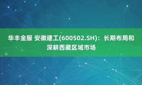 华丰金服 安徽建工(600502.SH)：长期布局和深耕西藏区域市场