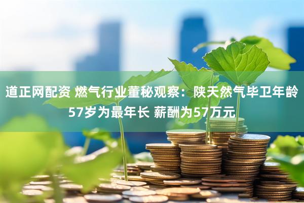 道正网配资 燃气行业董秘观察：陕天然气毕卫年龄57岁为最年长 薪酬为57万元
