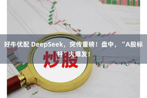 好牛优配 DeepSeek，突传重磅！盘中，“A股标杆”大爆发！