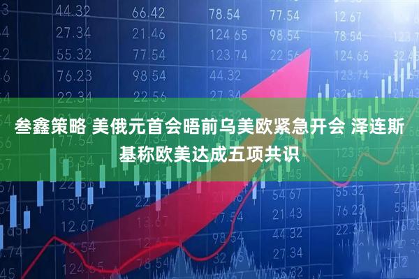叁鑫策略 美俄元首会晤前乌美欧紧急开会 泽连斯基称欧美达成五项共识