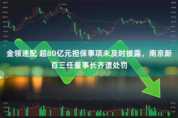 金领速配 超80亿元担保事项未及时披露，南京新百三任董事长齐遭处罚
