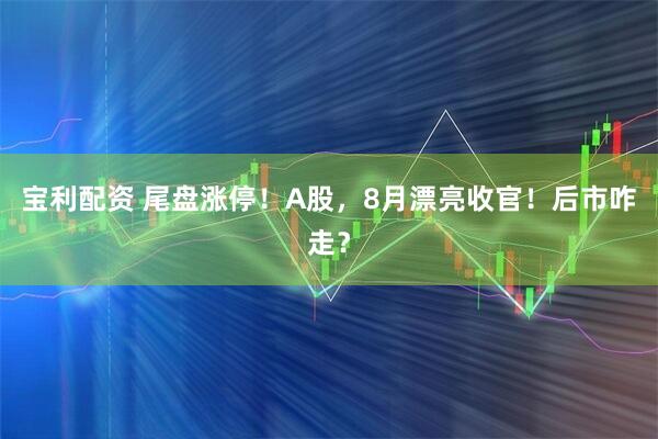 宝利配资 尾盘涨停！A股，8月漂亮收官！后市咋走？