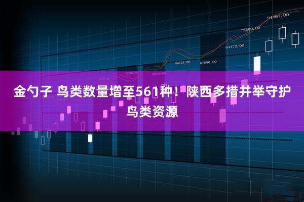 金勺子 鸟类数量增至561种！陕西多措并举守护鸟类资源